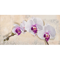 Obraz růž. orchidej