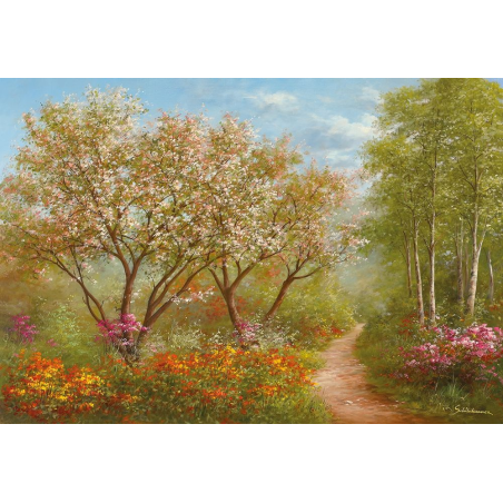 CESTA SLUNEČNÍHO SVĚTLA