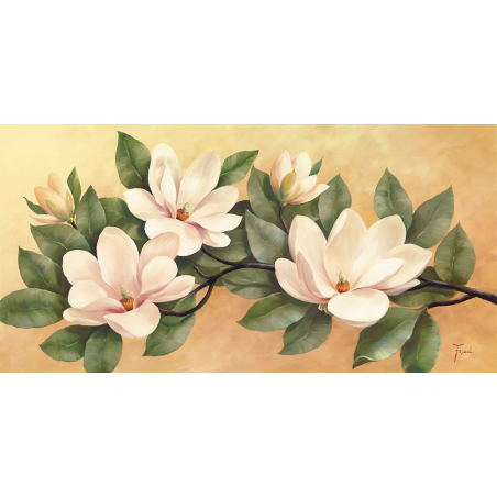 Magnolie