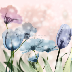 Průsvitné květy 2