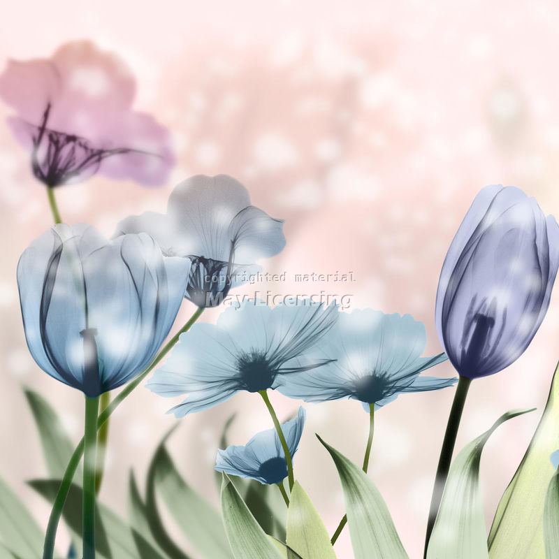 Průsvitné květy 2