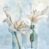 Bílé lilie I