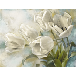 Holandské tulipány II