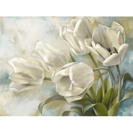 Holandské tulipány II