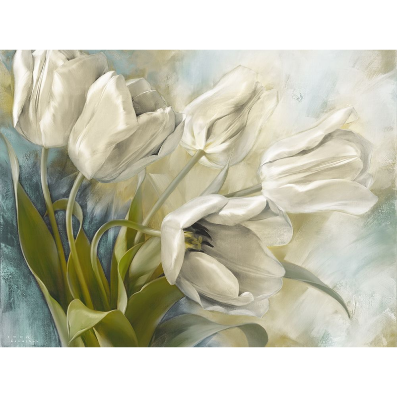 Holandské tulipány I