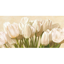 Bílé tulipány