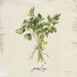 Rustikální bylinky - petržel