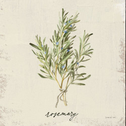Rustikální bylinky - rozmarýn