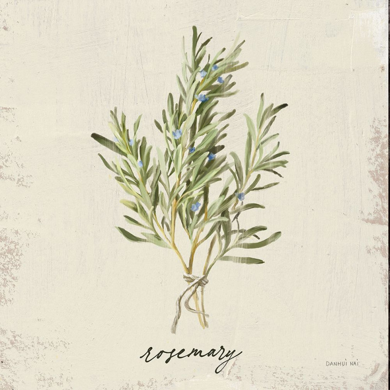 Rustikální bylinky - rozmarýn