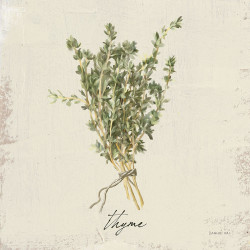 Rustikální bylinky - tymián