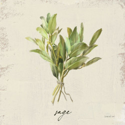 Rustikální bylinky - šalvěj