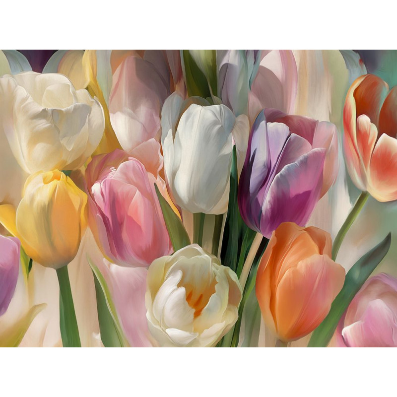 Obraz barevných tulipánů