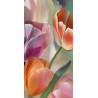 Obraz s barevnými tulipány II