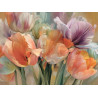 Obraz barevných tulipánů