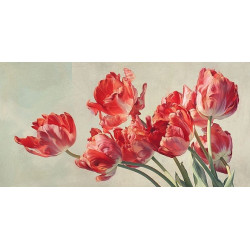 Obraz-červených tulipánů