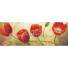 Obraz červené tulipány