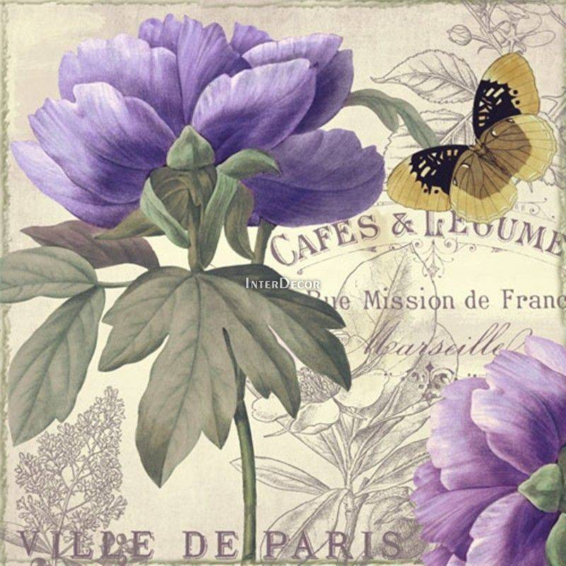 Obraz okvětní lístky